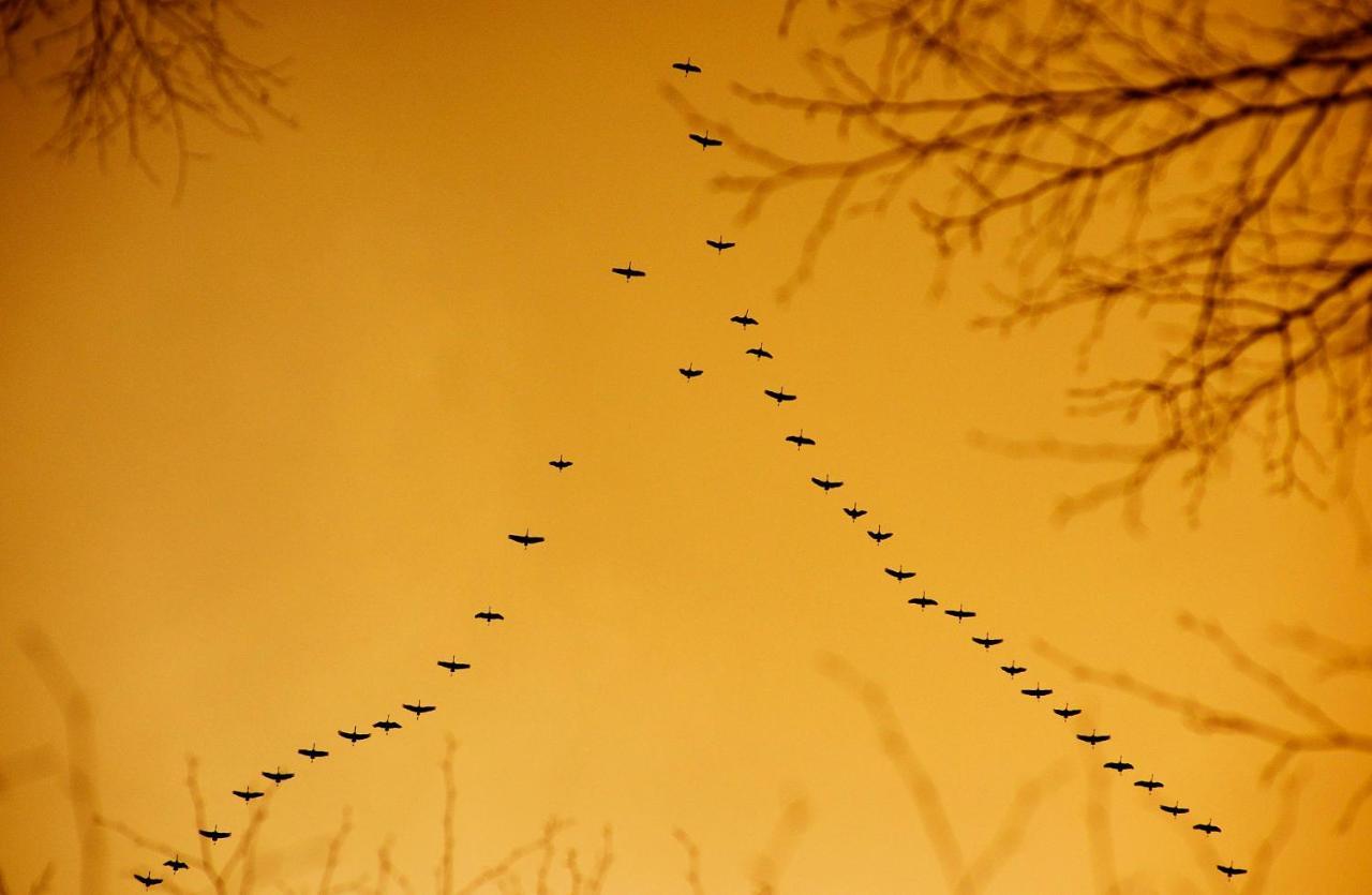 Domki Pod Jablonka Elganowo Buitenkant foto