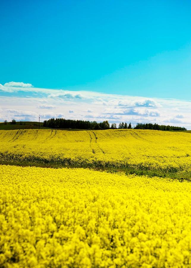 Domki Pod Jablonka Elganowo Buitenkant foto